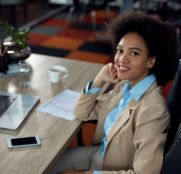Amavulandlela integrated operational ecosystem — connected business divisions across South Africa